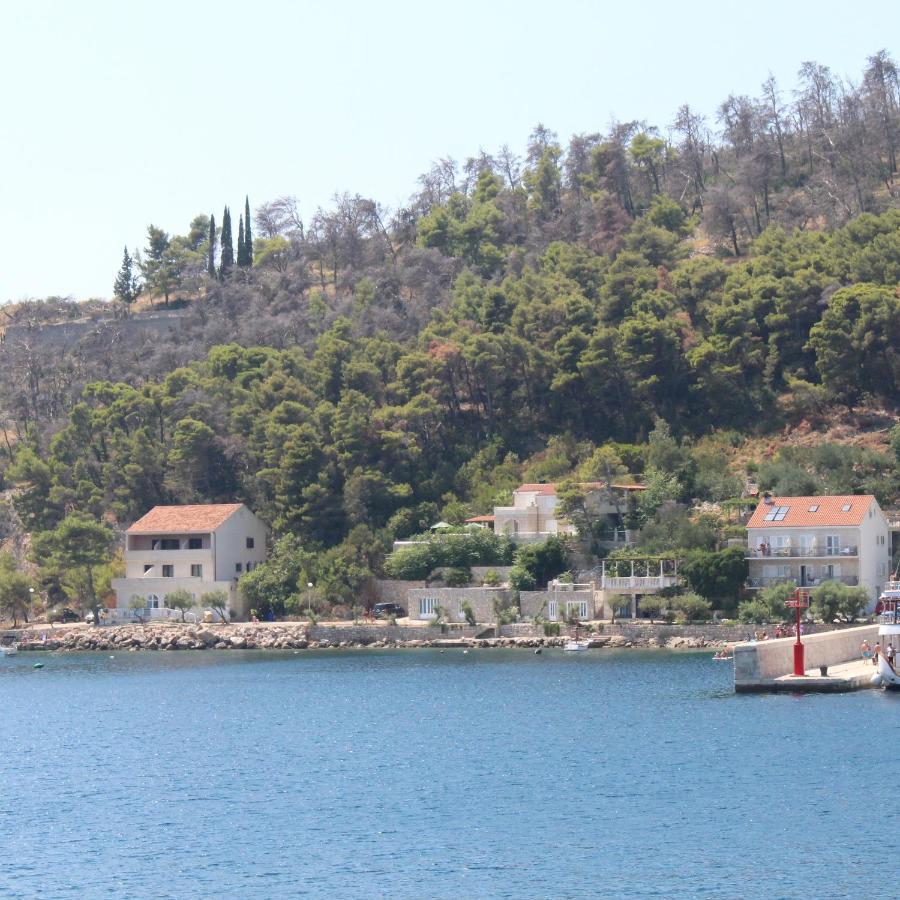 Apartments Bezek Trstenik  Zewnętrze zdjęcie