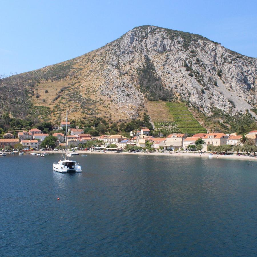 Apartments Bezek Trstenik  Zewnętrze zdjęcie