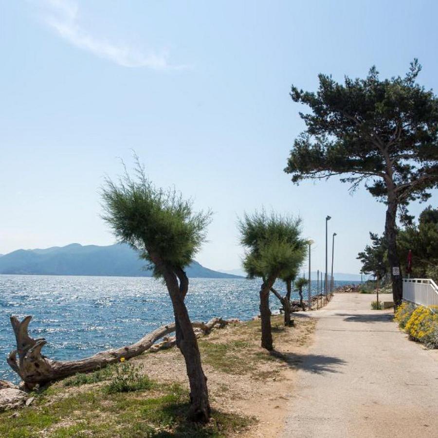 Apartments Bezek Trstenik  Zewnętrze zdjęcie