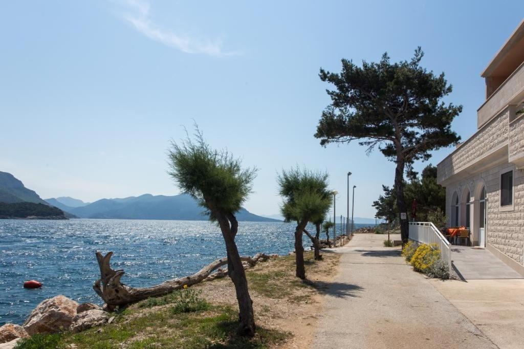 Apartments Bezek Trstenik  Zewnętrze zdjęcie